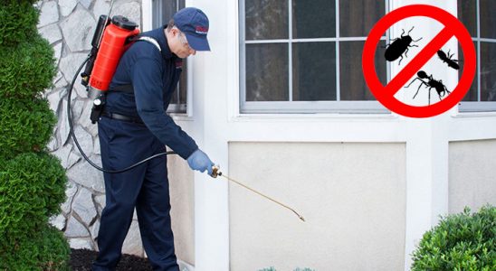 Kumlu Dezenfeksiyon böcek ilaçlama ve haşere kontrolü — ilaclama-tr.com